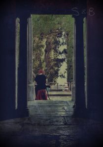 Seda & Bambú | Abigail